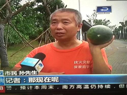 平潭吃瓜群众事件,网络舆论的风暴与反思