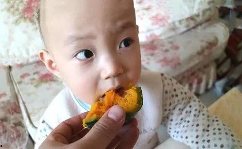 贝贝吃冷瓜,冷瓜美食之旅