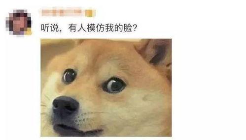 吃瓜吃瓜社会社会,社会社会，吃瓜吃瓜