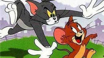 猫和老鼠带你吃瓜,一起吃瓜畅游