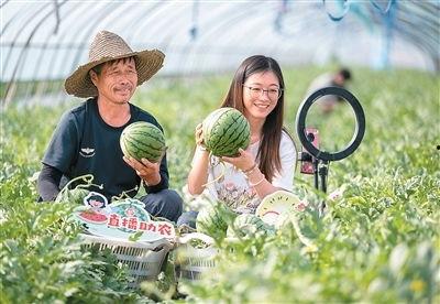 央广新闻吃瓜,揭秘“吃瓜群众”背后的真相与趣味