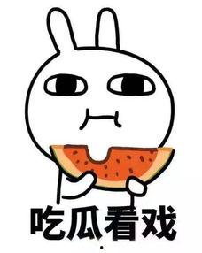 你们吃瓜了吗原版,吃瓜群众如何见证明星们的喜怒哀乐