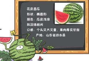 吃瓜读文,揭秘娱乐圈背后的故事