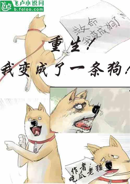 请安吃瓜小说,宫廷秘闻里的权谋与爱情