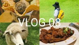 肥宅吃瓜vlog,揭秘网络红人的日常娱乐生活