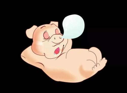 小胖事件吃瓜,网络舆论的风暴与反思