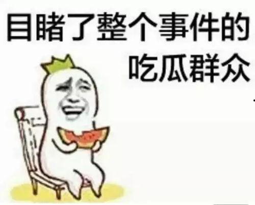吃瓜群众杨芊墨,吃瓜群众的独特视角与趣味解读