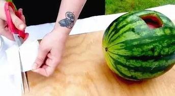 文安骑行圈吃瓜,一场吃瓜盛宴背后的故事