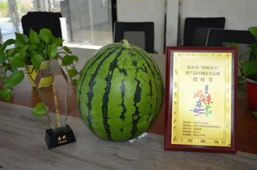 吃瓜邮局,网络热点的幕后推手