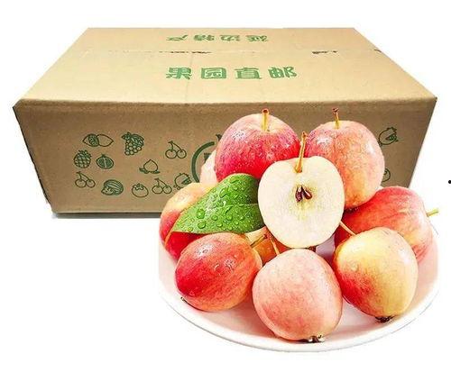 夏吃苹果冬吃瓜,夏苹果冬瓜，养生之道