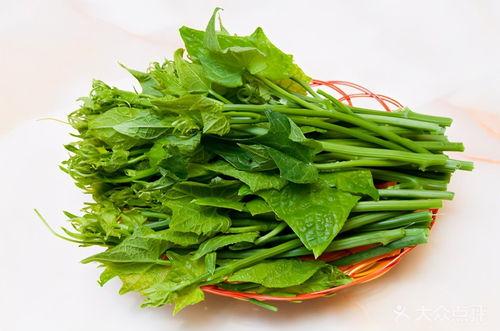 贵州怎么吃瓜尖,解锁吃瓜尖的独特贵州味