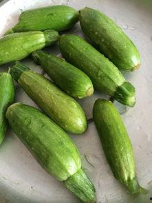 小角瓜怎么切块吃,轻松解锁美味新吃法