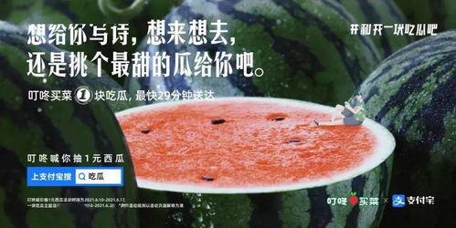 花式吃瓜文案句子,花式吃瓜文案，解锁夏日清凉新姿势