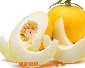 糖人吃伊丽莎白瓜,甜蜜邂逅，回味无穷