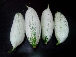 吃瓜消息图文素材,吃瓜群众眼中的明星幕后故事