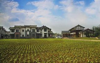 幸福时光小镇吃瓜,瓜香四溢，共享欢乐时光