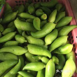 图图吃角瓜,一场味蕾与视觉的盛宴