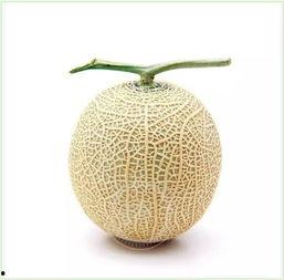 坐等吃瓜方法,揭秘网络围观背后的心理奥秘