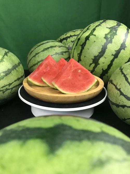 摆东西准备吃瓜,尽享悠闲夏日时光