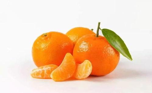 吃瓜哥橘子味,揭秘瓜界新宠的甜蜜诱惑