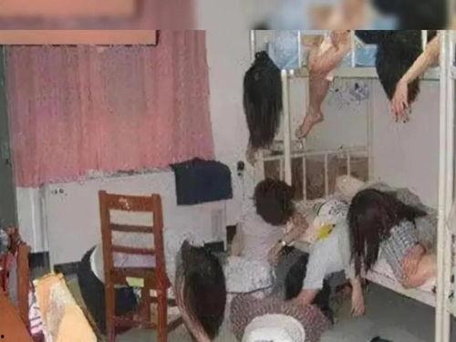 女生宿舍吃瓜场景,揭秘女生宿舍的吃瓜日常